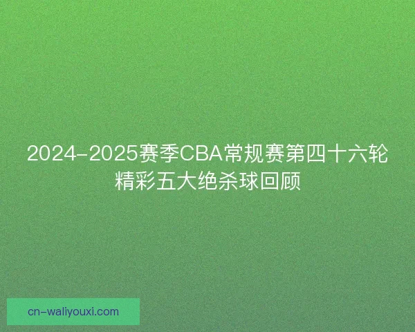 2024-2025赛季CBA常规赛第四十六轮精彩五大绝杀球回顾